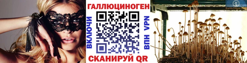 Галлюциногенные грибы Psilocybine cubensis  Буинск 